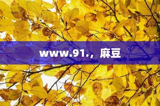 www.91.，麻豆