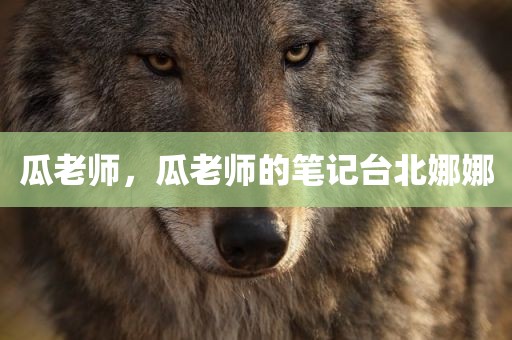 瓜老师，瓜老师的笔记台北娜娜