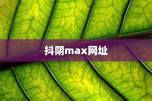抖阴max网址