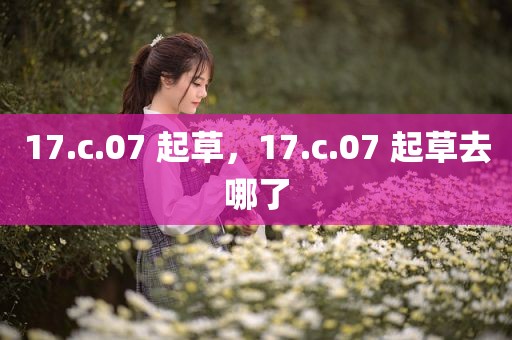 17.c.07 起草，17.c.07 起草去哪了