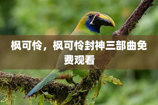 枫可怜，枫可怜封神三部曲免费观看