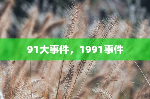91大事件，1991事件