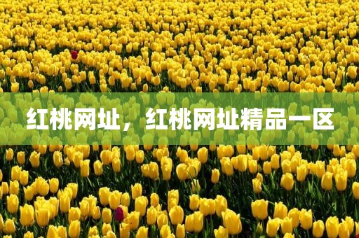 红桃网址，红桃网址精品一区