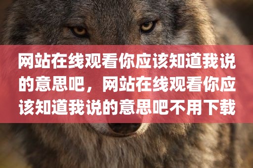 网站在线观看你应该知道我说的意思吧，网站在线观看你应该知道我说的意思吧不用下载