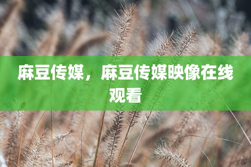 麻豆传媒，麻豆传媒映像在线观看