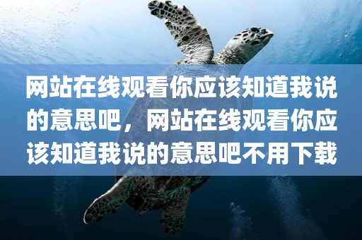网站在线观看你应该知道我说的意思吧，网站在线观看你应该知道我说的意思吧不用下载