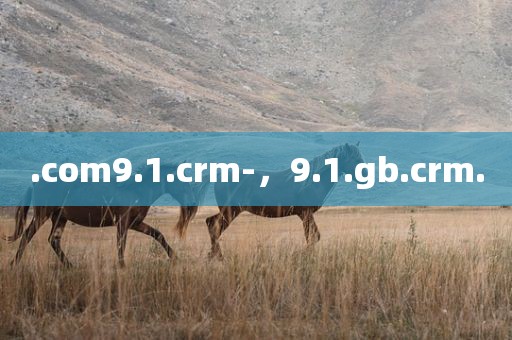 .com9.1.crm-，9.1.gb.crm.
