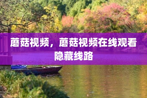 蘑菇视频，蘑菇视频在线观看隐藏线路