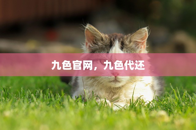 九色官网，九色代还