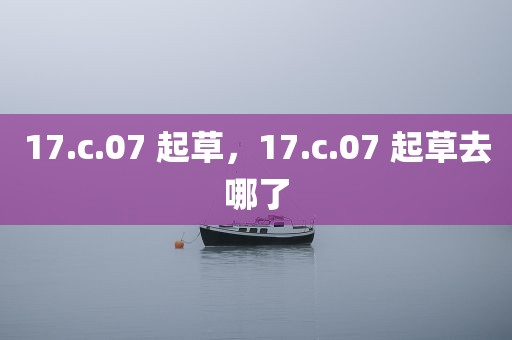 17.c.07 起草，17.c.07 起草去哪了