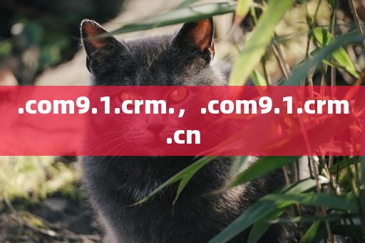 .com9.1.crm.，.com9.1.crm.cn