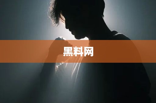 黑料网