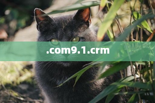 .com9.1.crm