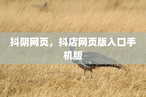 抖阴网页，抖店网页版入口手机版