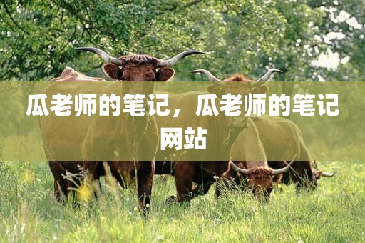 瓜老师的笔记，瓜老师的笔记网站