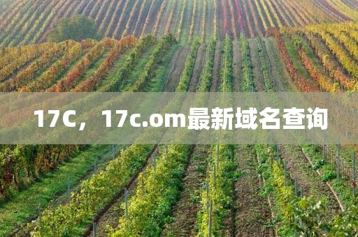 17C，17c.om最新域名查询