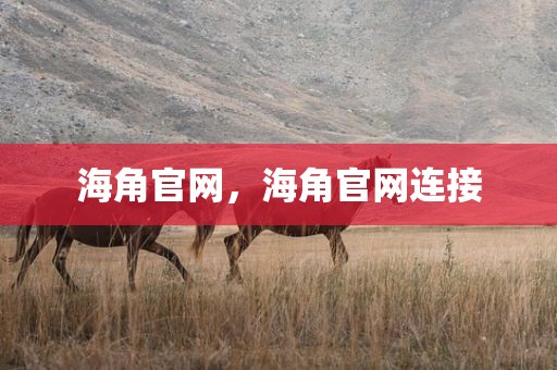 海角官网，海角官网连接