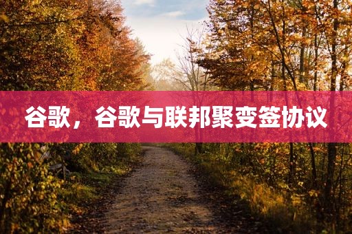 谷歌，谷歌与联邦聚变签协议