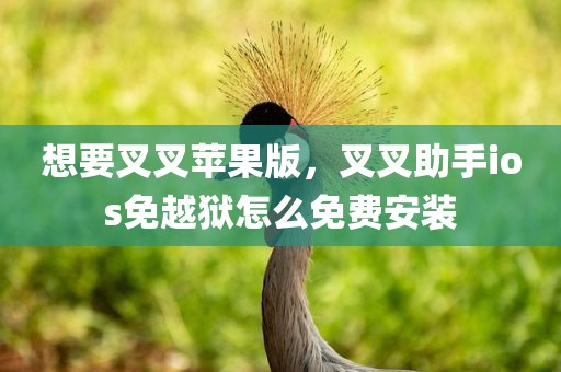 想要叉叉苹果版，叉叉助手ios免越狱怎么免费安装