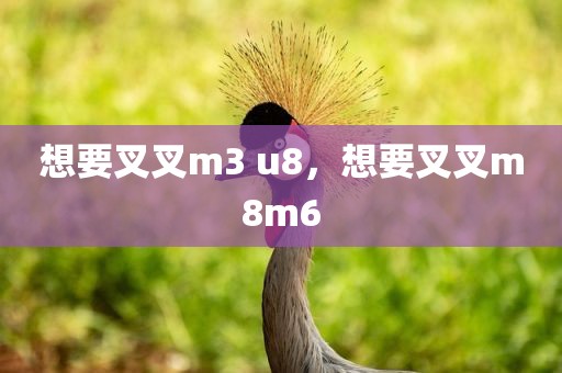 想要叉叉m3 u8，想要叉叉m8m6