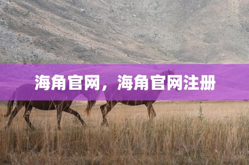 海角官网，海角官网注册