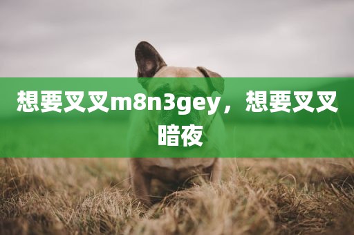 想要叉叉m8n3gey，想要叉叉 暗夜