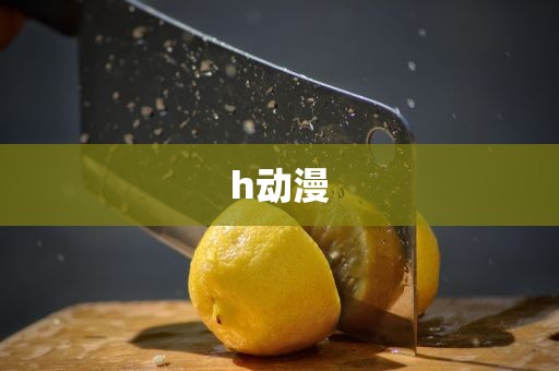 h动漫