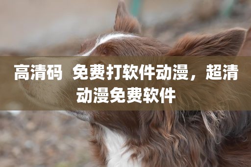 高清码  免费打软件动漫，超清动漫免费软件