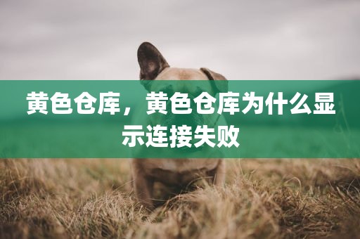 黄色仓库，黄色仓库为什么显示连接失败