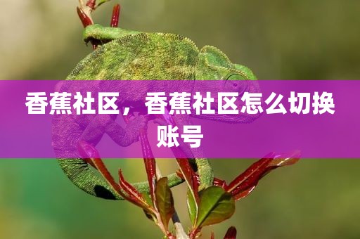 香蕉社区，香蕉社区怎么切换账号