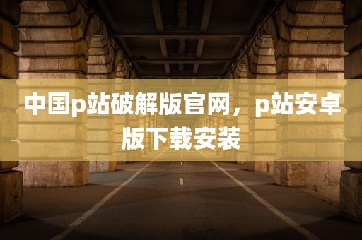 中国p站破解版官网，p站安卓版下载安装