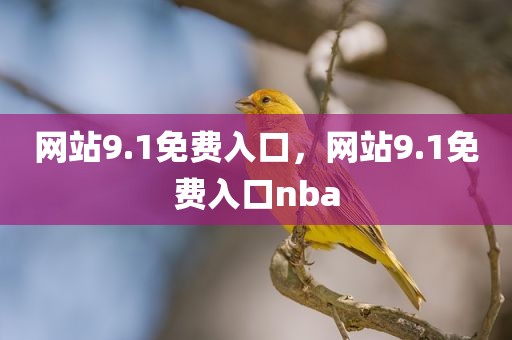 网站9.1免费入口，网站9.1免费入口nba