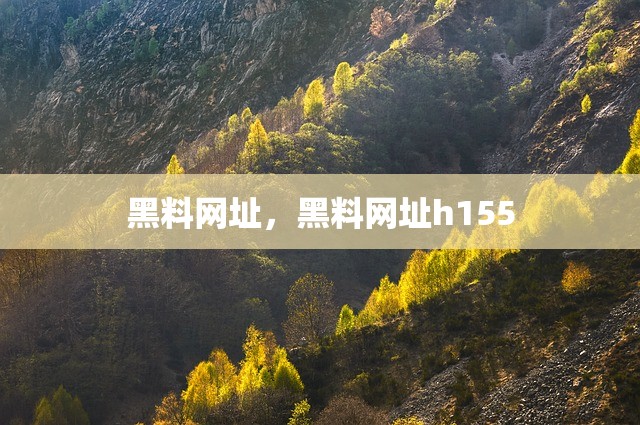 黑料网址，黑料网址h155