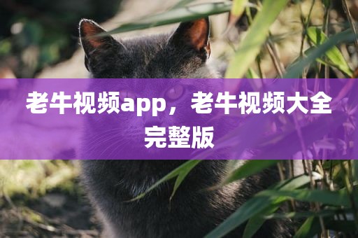 老牛视频app，老牛视频大全完整版