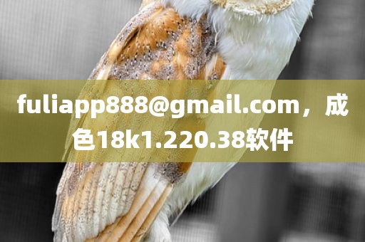 fuliapp888@gmail.com，成色18k1.220.38软件