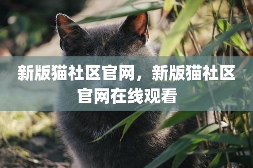新版猫社区官网，新版猫社区官网在线观看