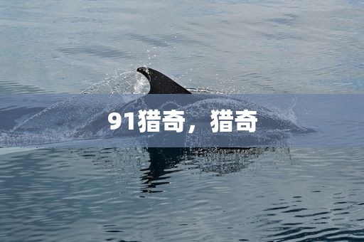91猎奇，猎奇