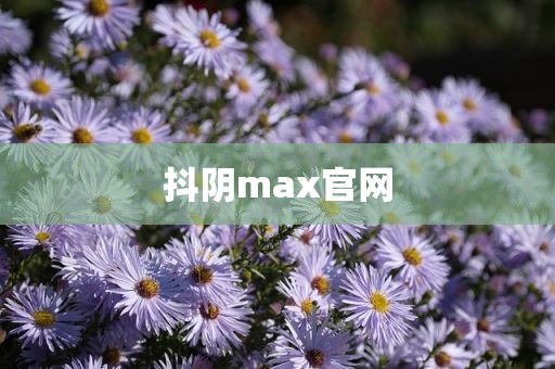 抖阴max官网