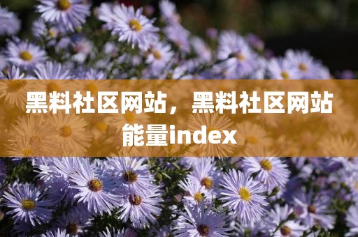 黑料社区网站，黑料社区网站能量index
