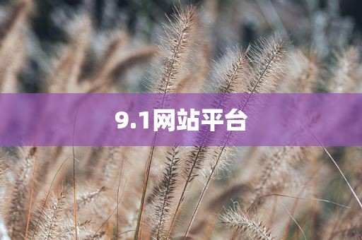 9.1网站平台