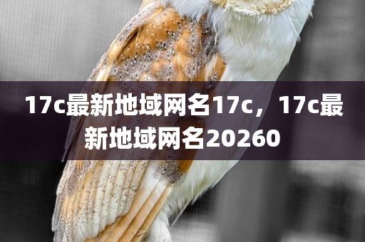 17c最新地域网名17c，17c最新地域网名20260