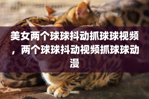 美女两个球球抖动抓球球视频，两个球球抖动视频抓球球动漫
