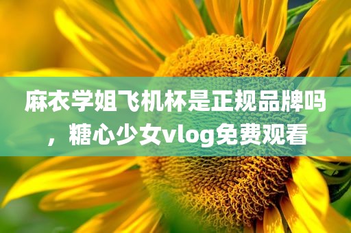 麻衣学姐飞机杯是正规品牌吗，糖心少女vlog免费观看