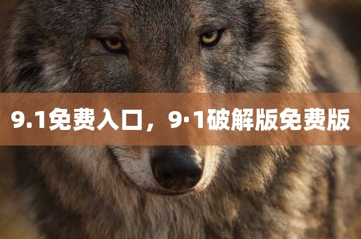9.1免费入口，9·1破解版免费版
