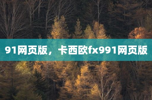 91网页版，卡西欧fx991网页版