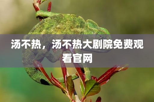 汤不热，汤不热大剧院免费观看官网