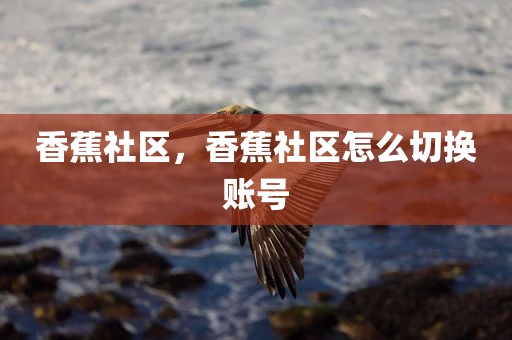 香蕉社区，香蕉社区怎么切换账号