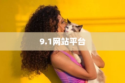 9.1网站平台