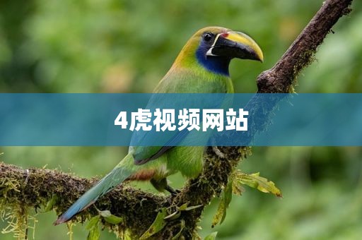 4虎视频网站