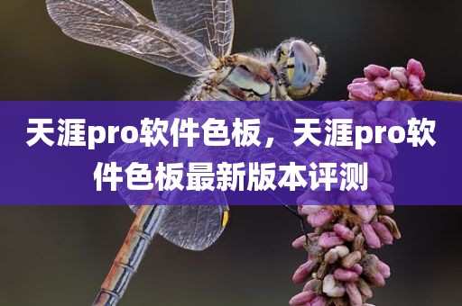 天涯pro软件色板，天涯pro软件色板最新版本评测